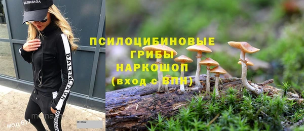 ПСИЛОЦИБИНОВЫЕ ГРИБЫ Болотное